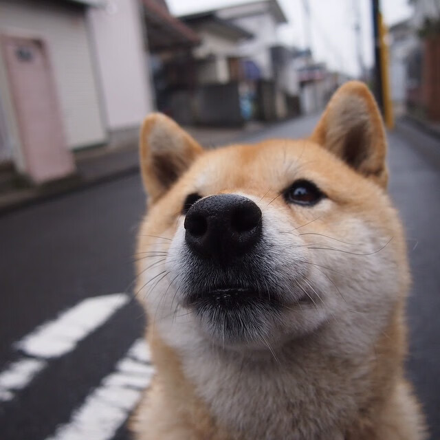 篮球风云际会,国王队击败浙江队,詹姆斯美加墨世界杯强势接管