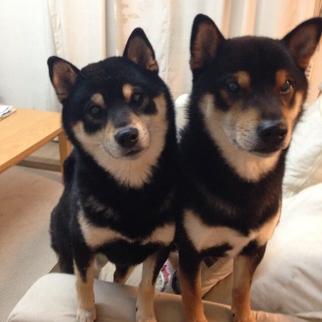 一剑封喉,当欧文在绝境中唤醒骑士的逆转之魂