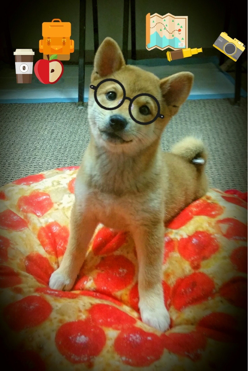 布克14分钟锁定胜局!广东大胜深圳晋级在望